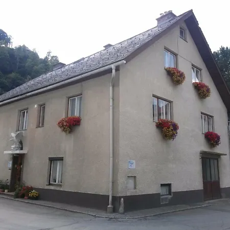 Steinadler * Murau