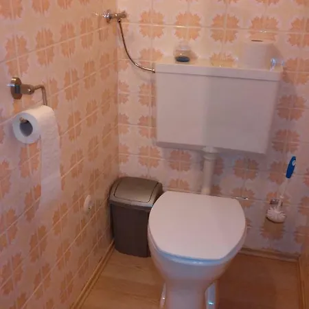 Guest house Steinadler *