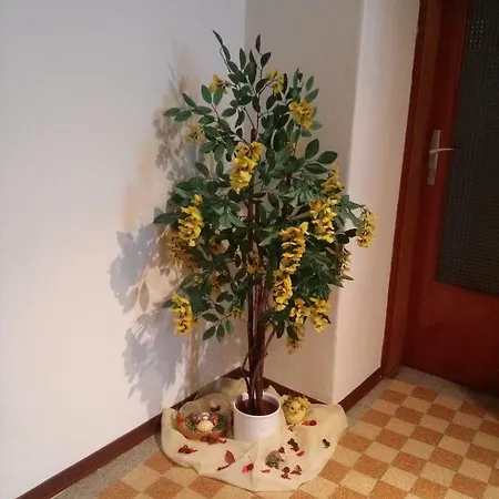 Guest house Steinadler *