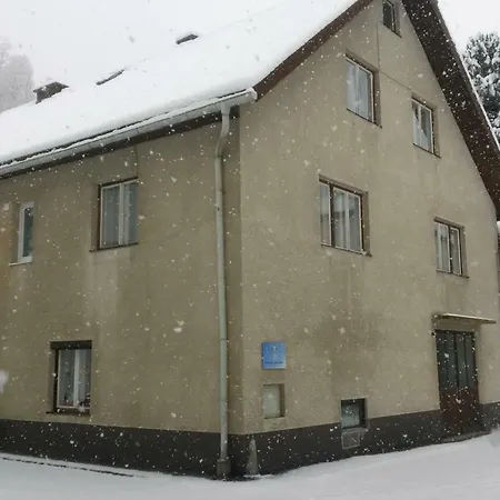 Steinadler * Murau