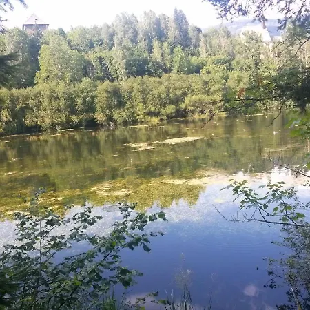Steinadler * Murau